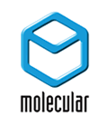 MOLECULAR PRODUCTS